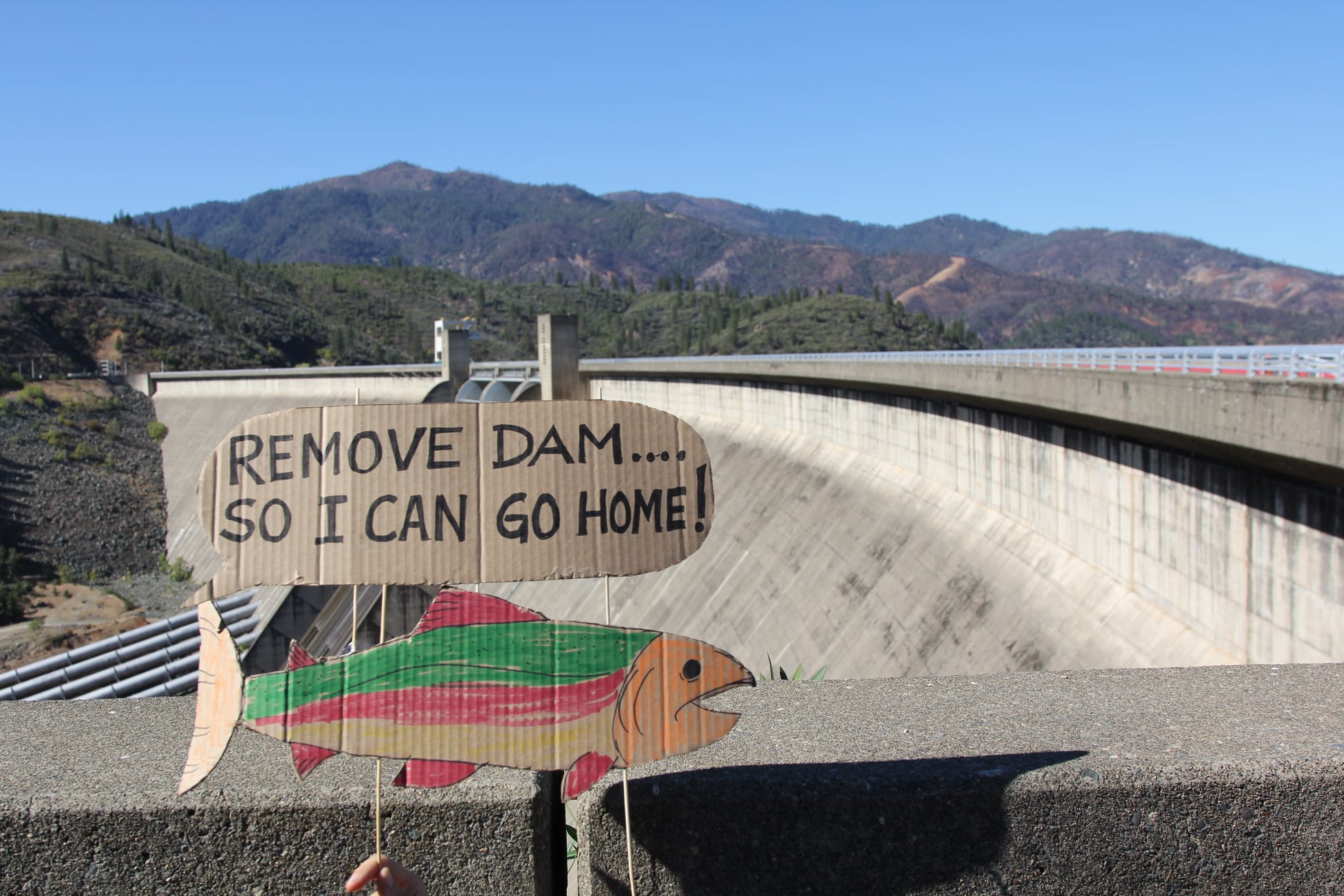 A sign at Shasta Dam