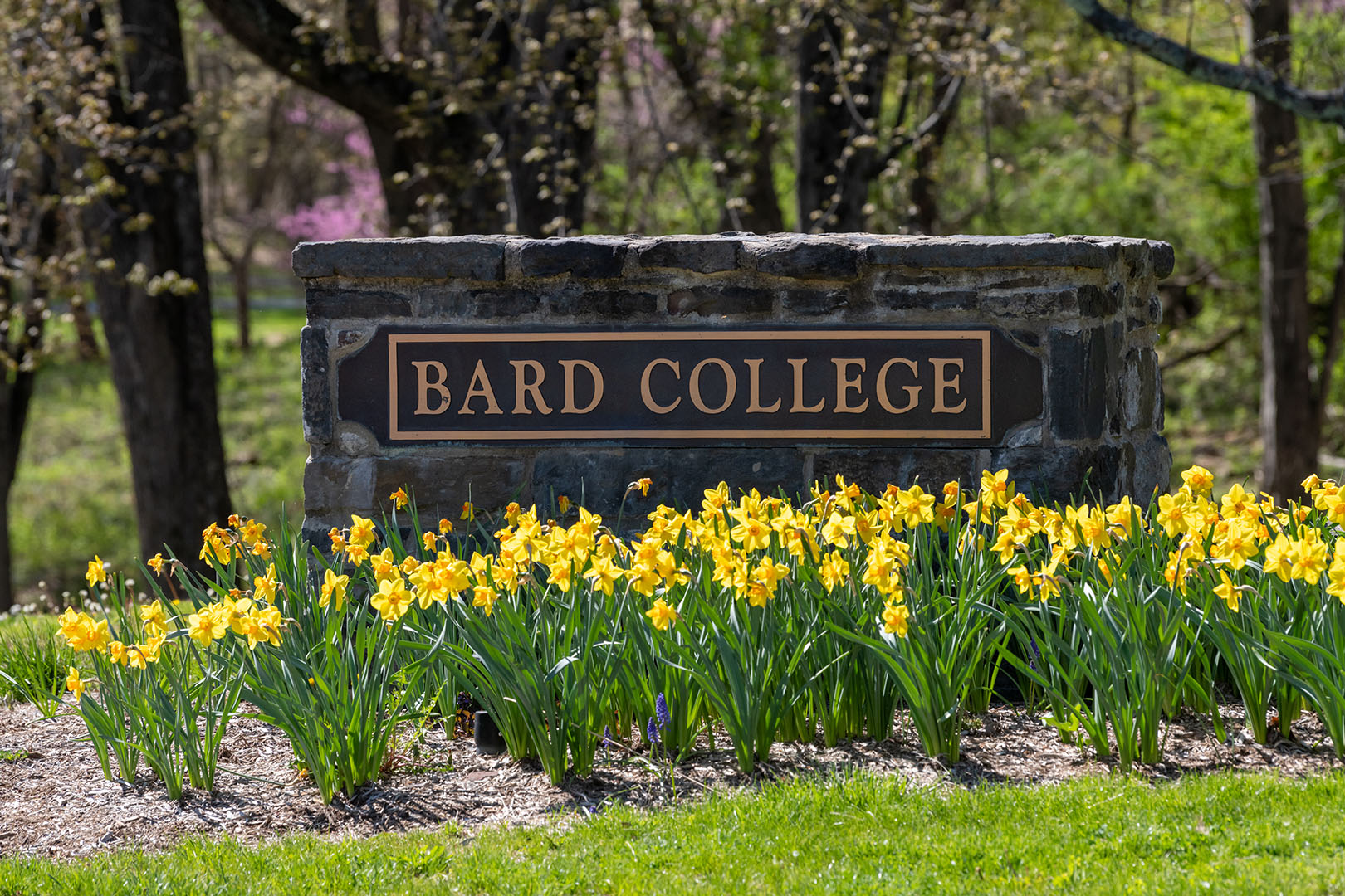 Bard College Gets 50 Million Boost For Indigenous Studies Program 