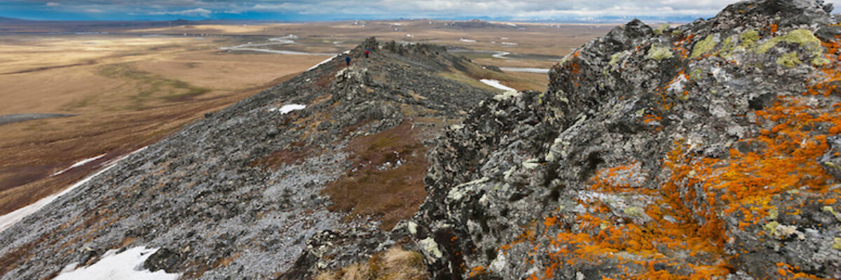 National Petroleum Reserve-Alaska (Photo/State Energy & Environmental Impact Center, NYU School of Law)