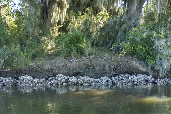 Living Shoreline project