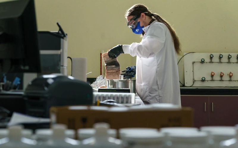 A laboratory analyst processes salmon filets for testing at a lab in Washington. (photo/ Kristyna Wentz-Graff for OPB0