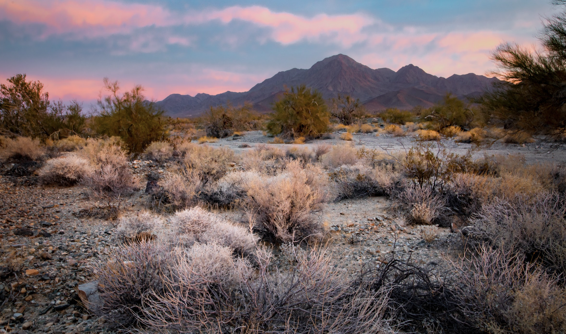 Chuckwalla National Monument - A view from the Bradshaw Trail. (Photo/Bob Wick)