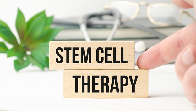 Stem cell