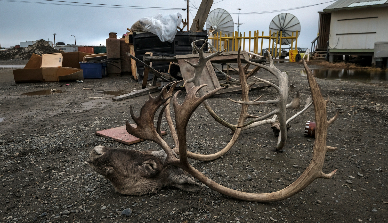 Parasite Reminds Hunters, Alaska Department of Fish and Game