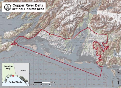Copper River Delta — Critical Habitat Area Area Overview (Photo/Alaska Department of Fish and Game)
