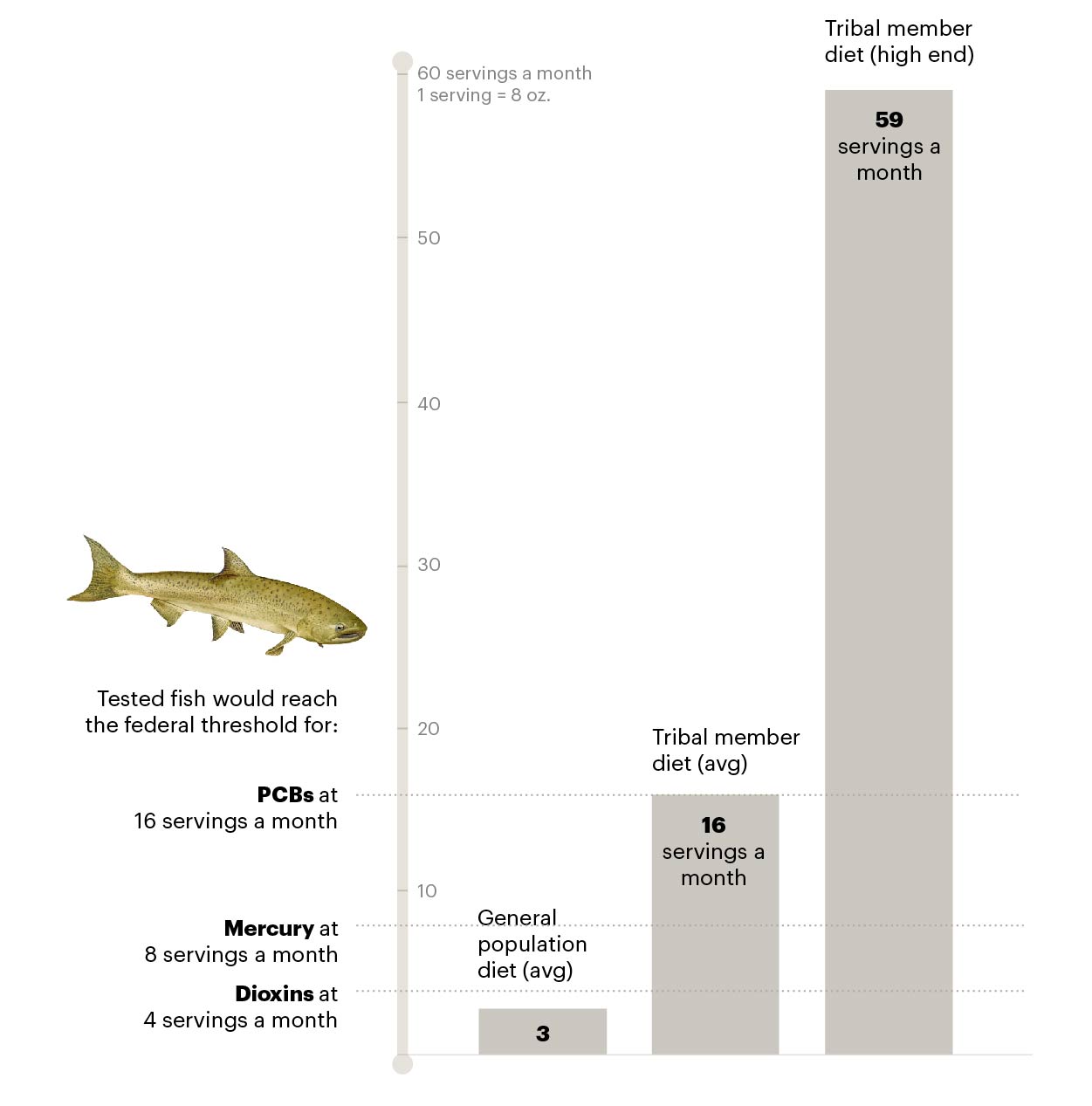 Source: Data obtained by Oregon Public Broadcasting and ProPublica. Average diet figures from EPA surveys of the Nez Perce Tribe and the general population, and fish advisory guidance from the EPA. Additional information can be found in the methodology section below. (Illustration: Irena Hwang for ProPublica)