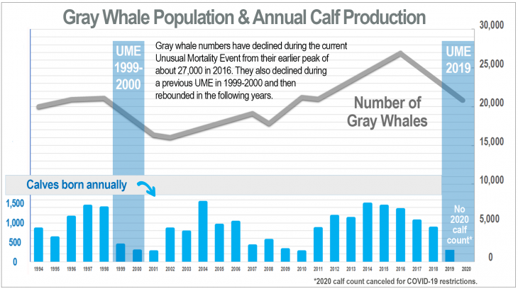 Washington Tribe Waits to Resume Whaling | Currents