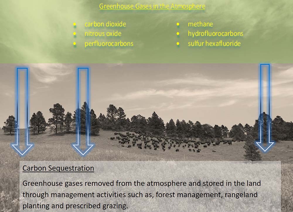 Carbon Sequestration