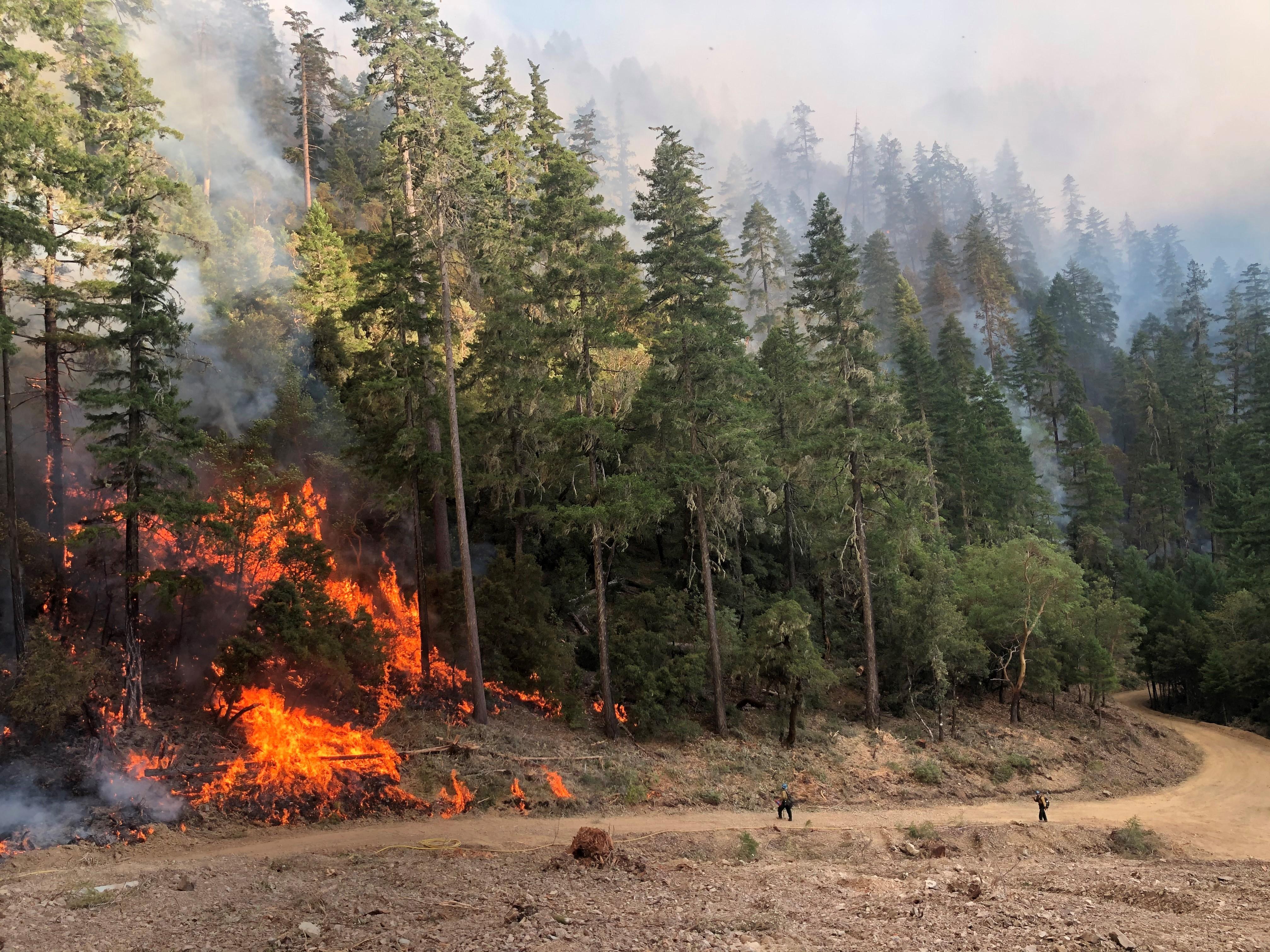 The Red Salmon Complex fire, which started in late July after a lightning strike, has already burned more than 23,000 acres in the lands near the Hoopa Valley and Yurok reservations. (Photo:  Inciweb)