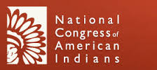 NCAI Logo