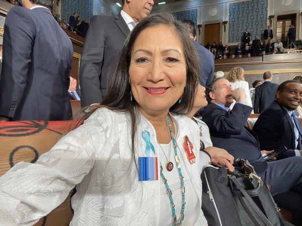 Congresswoman Deb Haaland posted the photo above with the caption: I’m wearing my “warming stripes”, because we know President Trump won’t bring up any solutions to #ActOnClimate.