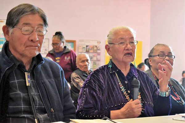 NAVAJO TIMES | RIMA KRISSTPercy Deal and Piñon Chapter President Bessie Allen present to the Resources and Community Committee last Wednesday.