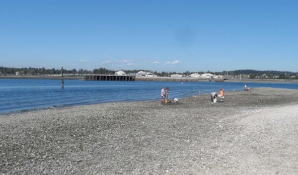 Washington State Fish & Wildlife. Photo of Rabangs, Semiahmoo Spit.