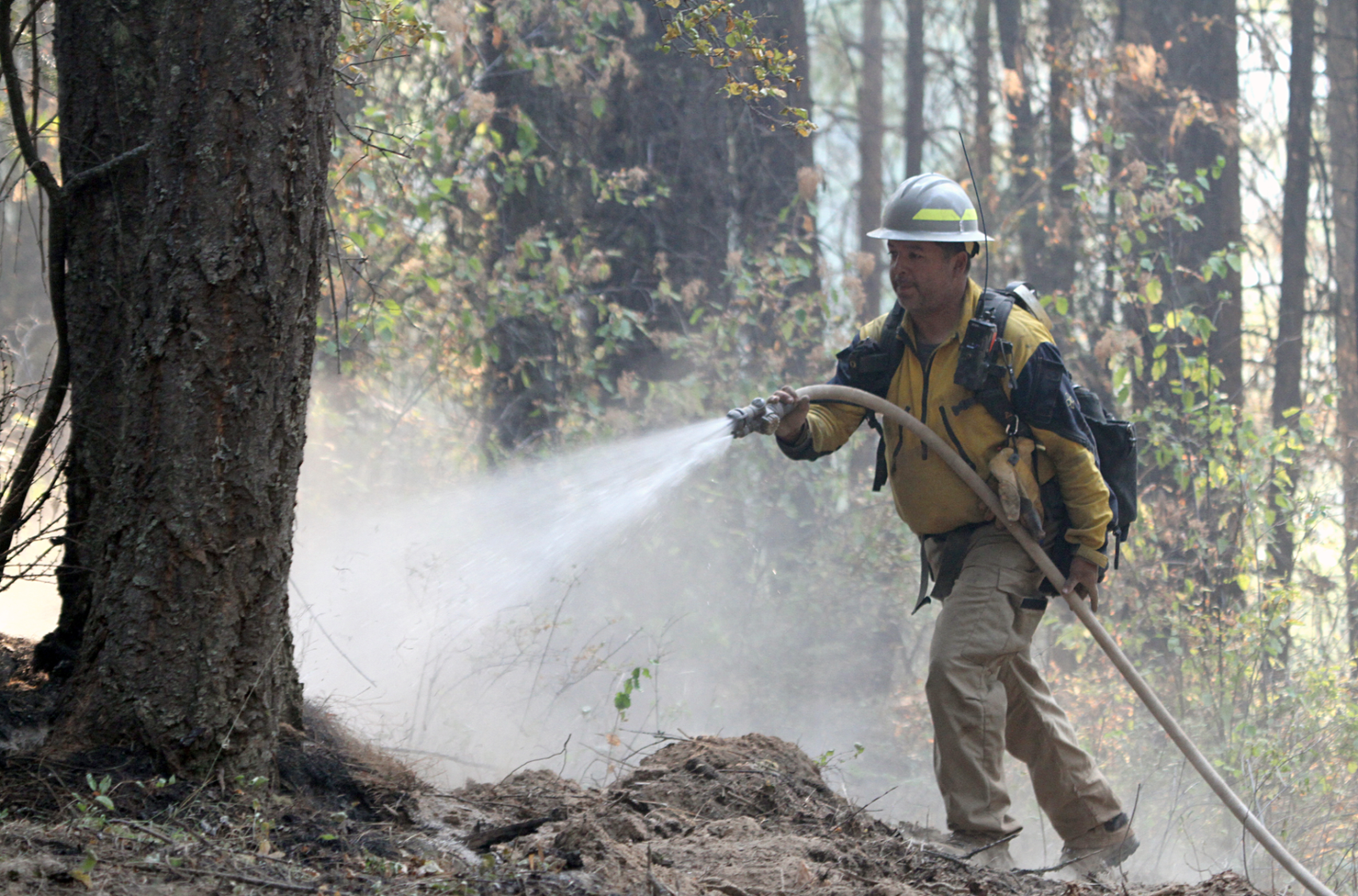 firefighter