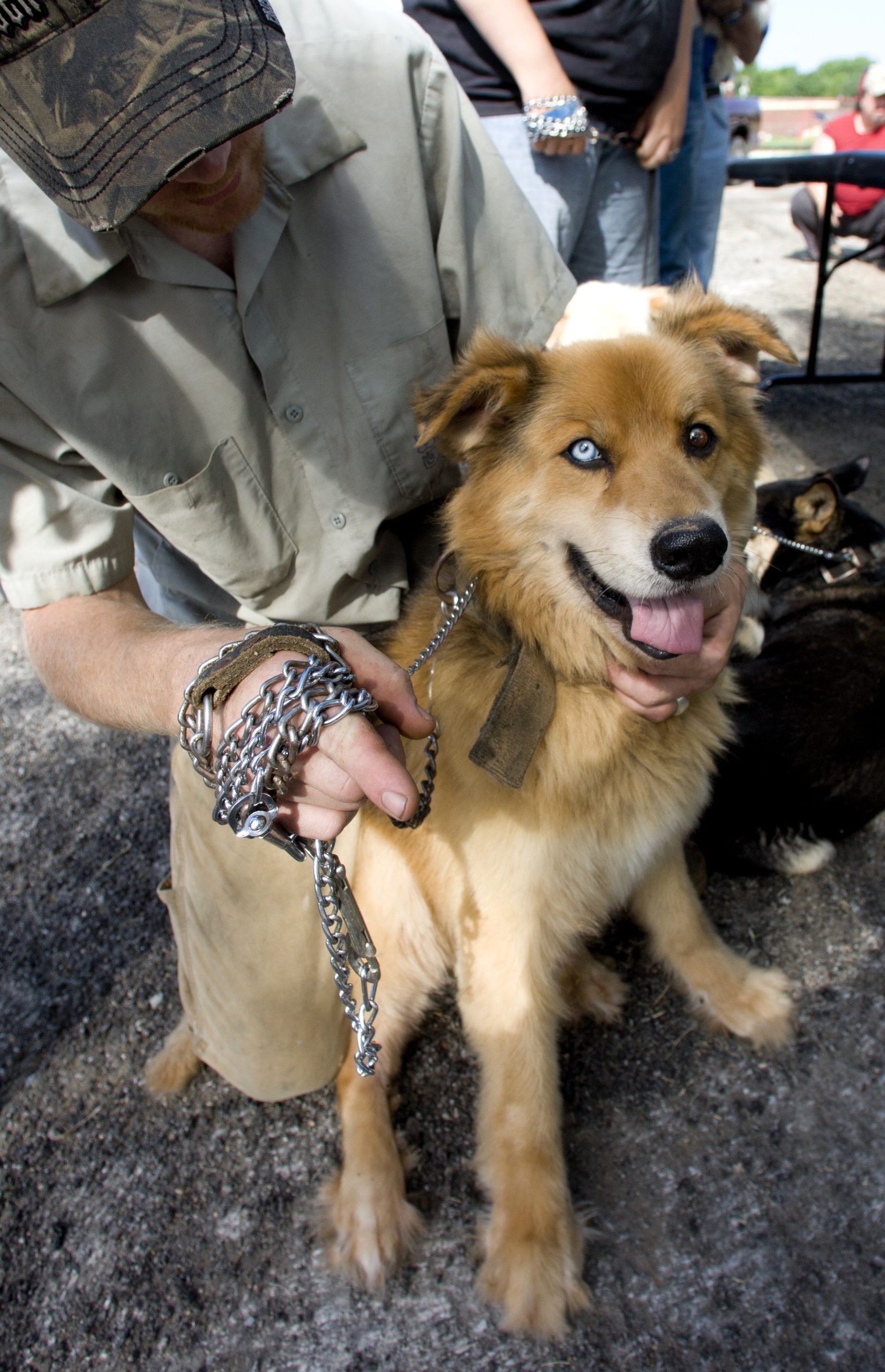 Chickasaw Nation Rabies Clinics Promote Public Health