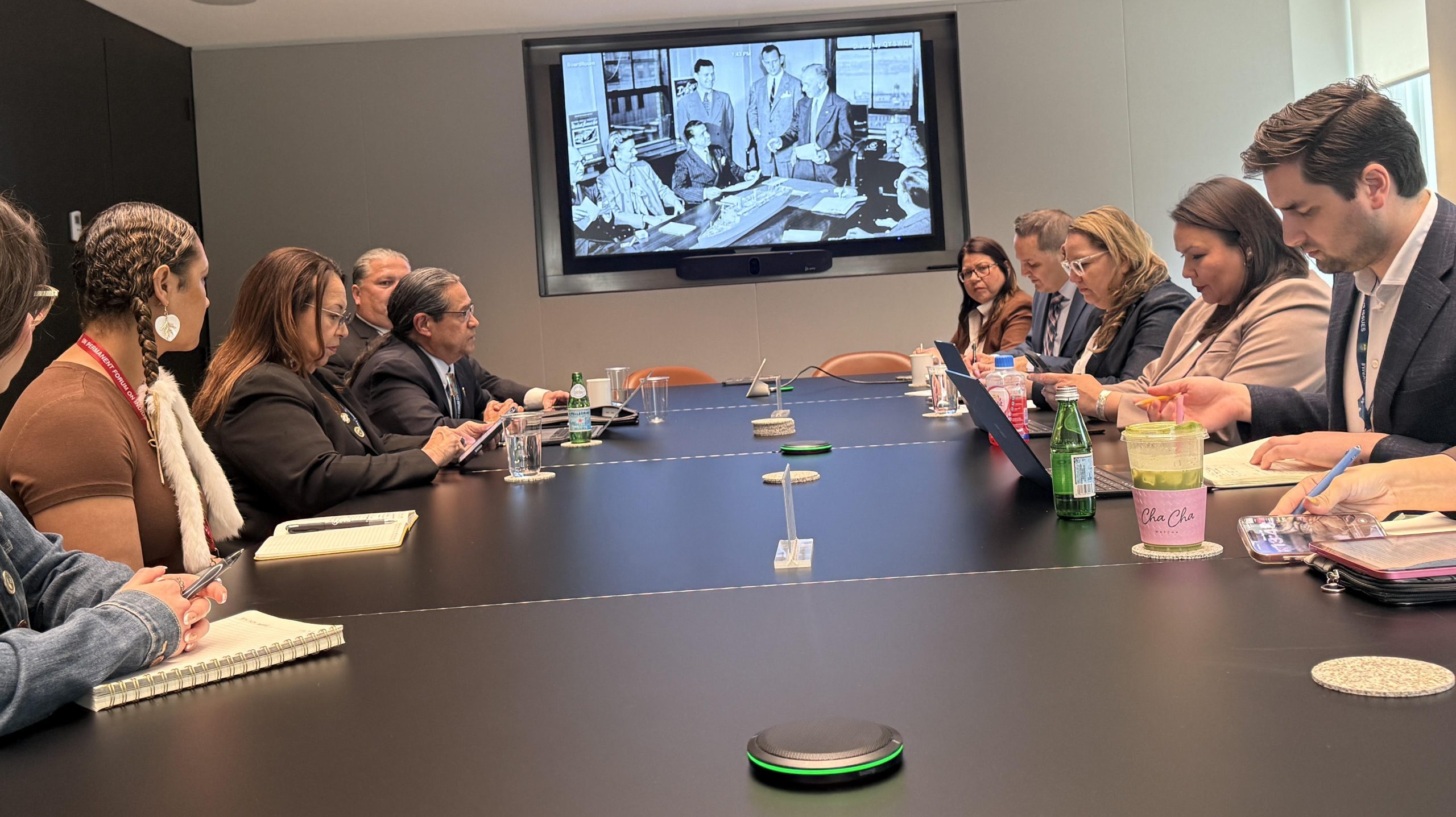 First Nations Leaders from Canada and the United States Demonstrate Unity and Joint Action at UNPFII