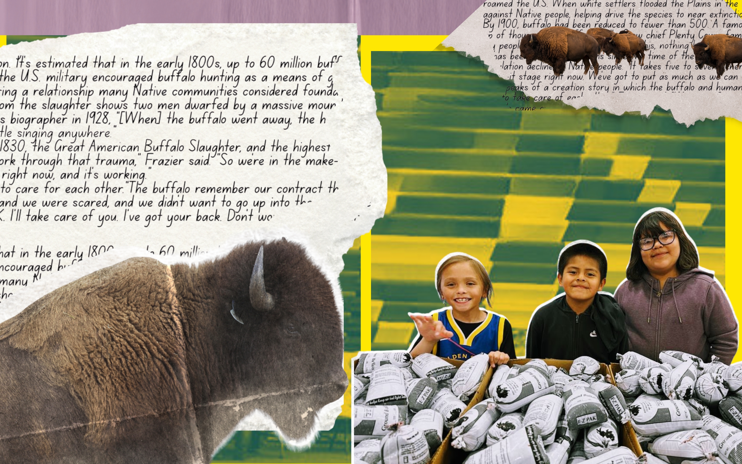 When The Buffalo Were Introduced to a Wind River Reservation School, Students Began to Thrive