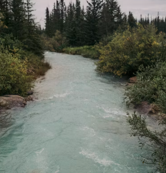 Big Night at the Polls; a Salmon River Without Salmon