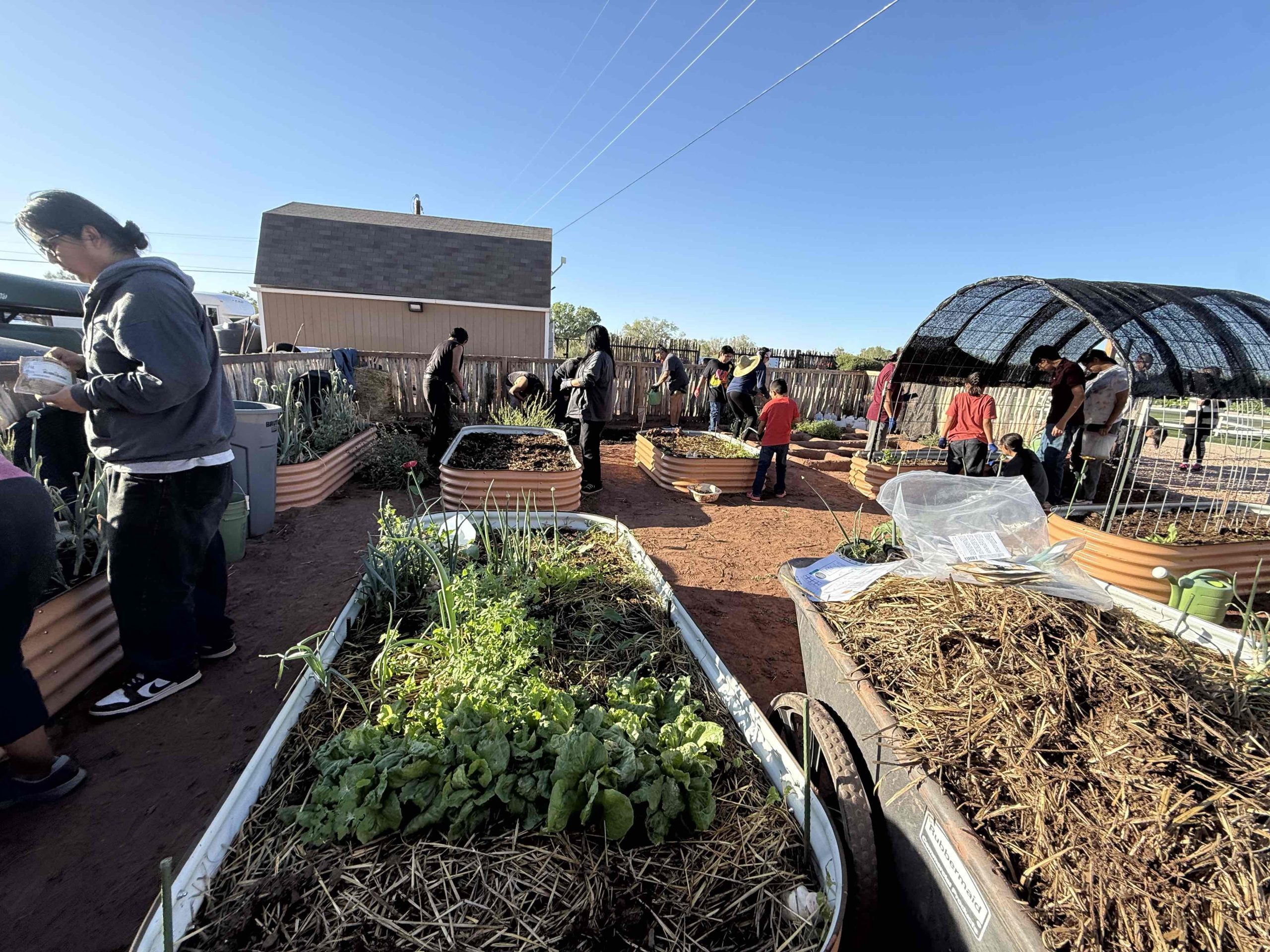 Zuni Youth Enrichment Project Food Sovereignty Initiatives Flourishing in 2026