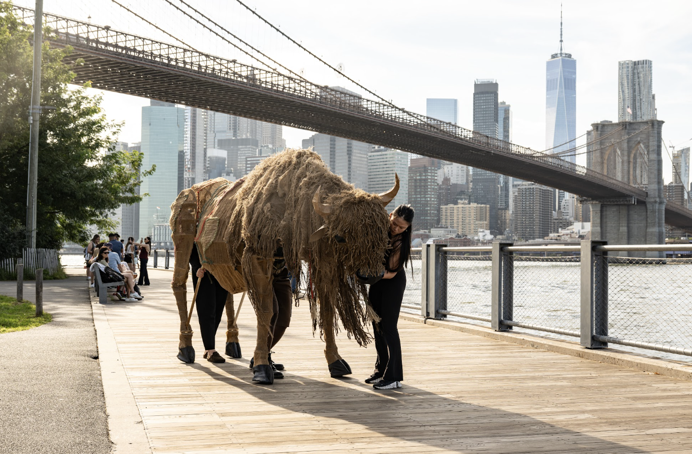 Buffalo Will Roam the Streets of New York on Sep. 18-19